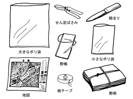 植物の採集と標本作り