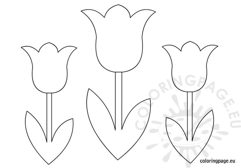 Tulips Flower coloring page - Coloring Page