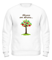Толстовка без капюшона Яблоко от яблони (для родителя)