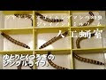 25 ++ ジャイアントミルワーム 飼育 215672-ジャイアントミルワーム 飼育ケース