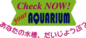 飼育水槽をチェックしよう