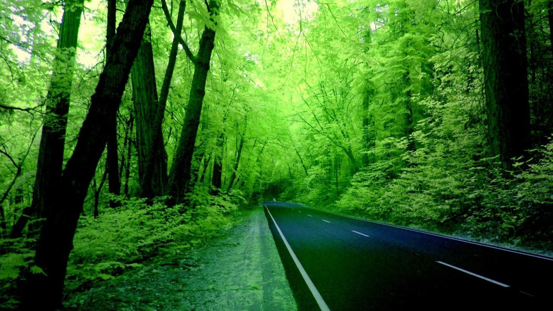 3d 1920x1080 Hd Nature Wallpapers 56 Images Free Wallpaper Nature