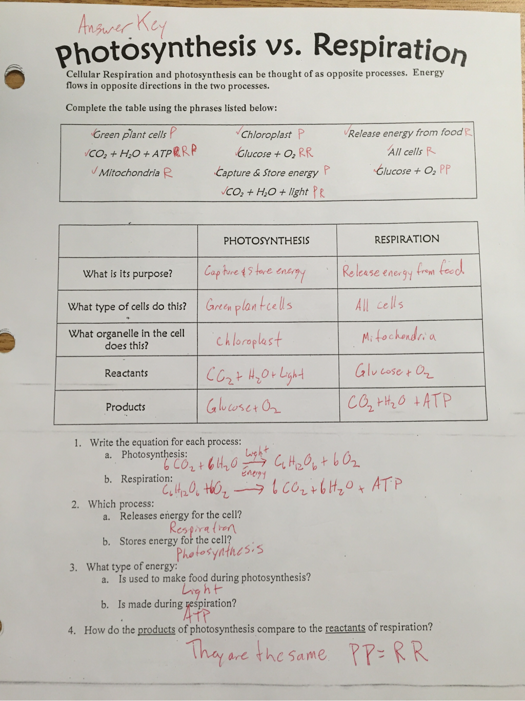 Photosynthesis And Cellular Respiration Review Worksheet ...