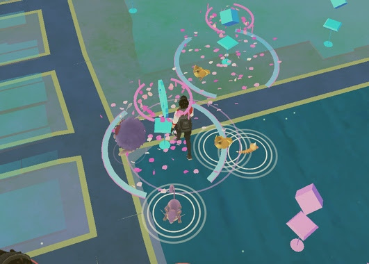 ポケモンgo レアポケモンの巣 錦糸公園の実地調査 フシギダネ イーブイがいっぱい 財経新聞