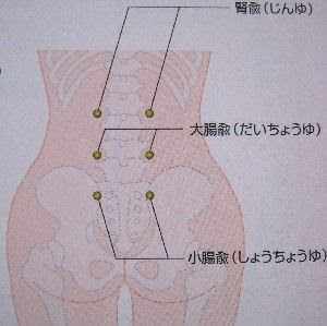 今日のひとツボ 背兪穴 はいゆけつ おかえりの場所