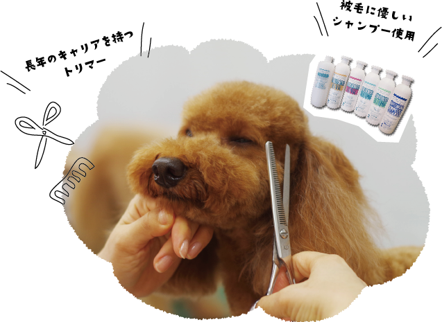 犬の美容室ショコラ 豊田 トリミング ペットホテル