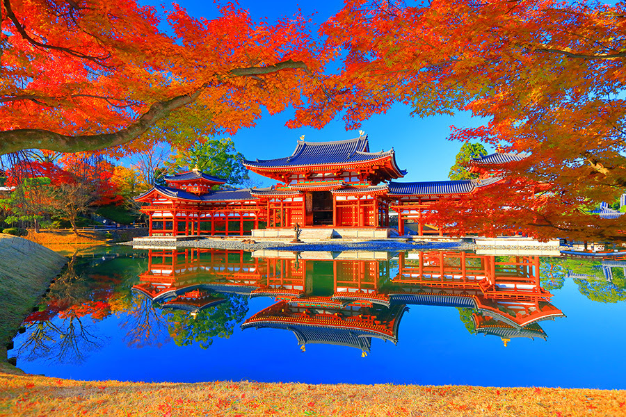 京都 紅葉 写真