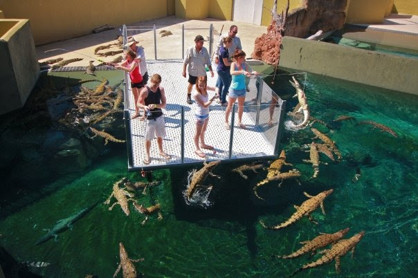 Crocosaurus Cove, Australia