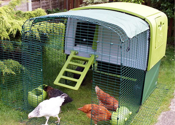 8 Revolutionary chicken coop designs | The Poultry Guide