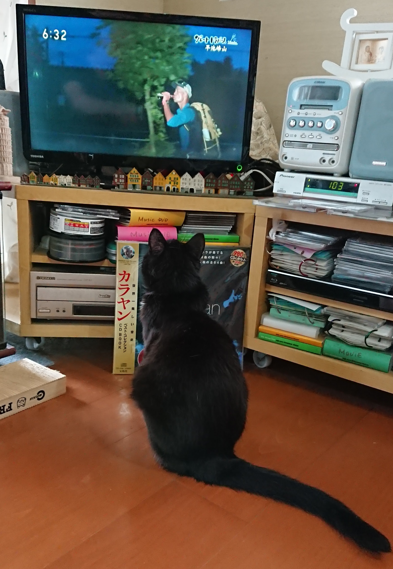 田中さん 猫 音楽 食 旅ブログ