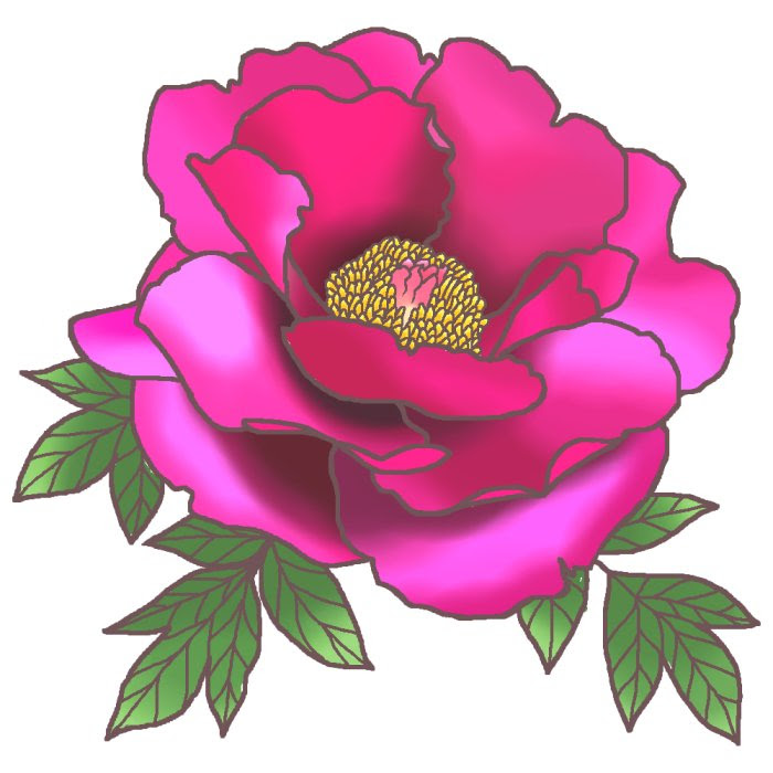 春の花4 ボタン 牡丹 カラー 花イラスト お花と季節のお礼状