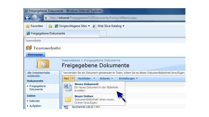 Dokumentenmanagementsystem und Intranet - Installation und ...