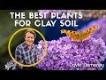 Best Fruit Trees For Clay Soil - Gardenarium :: Ornamental Pears | Ornamental pear tree ... / Most of the varieties that follow are there.