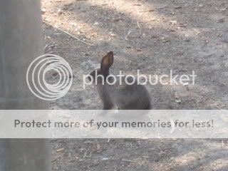 July 10, 2008 Dutch Mix