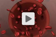 Video: The Dangers of Heart Disease