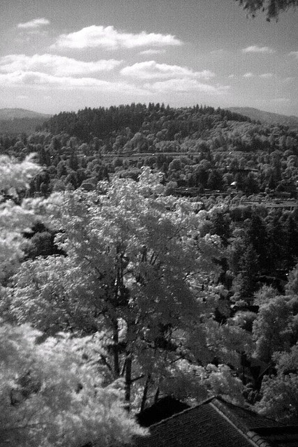 Kelly Butte, Infrared