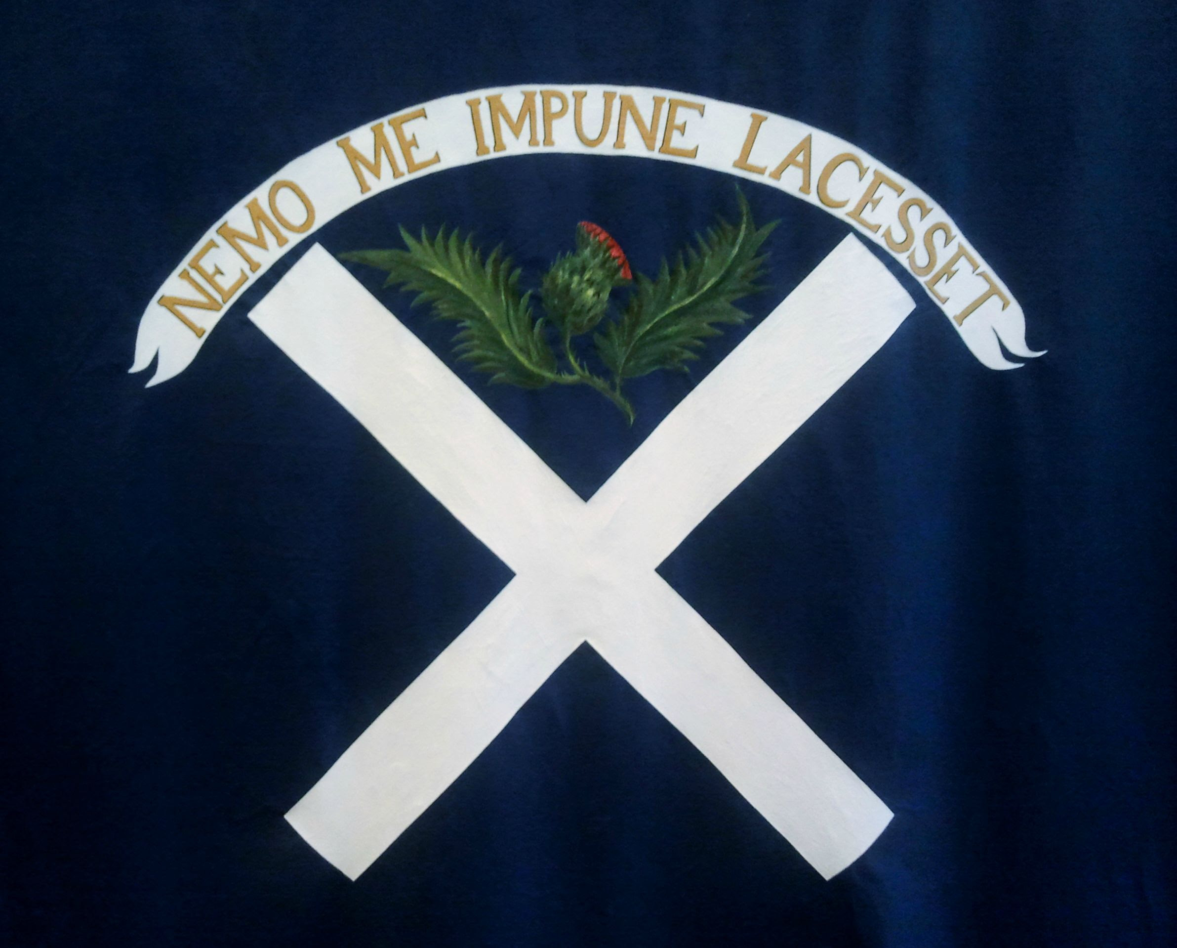 Jacobite Banner from 1746 in The McManus, Dundee (details ...