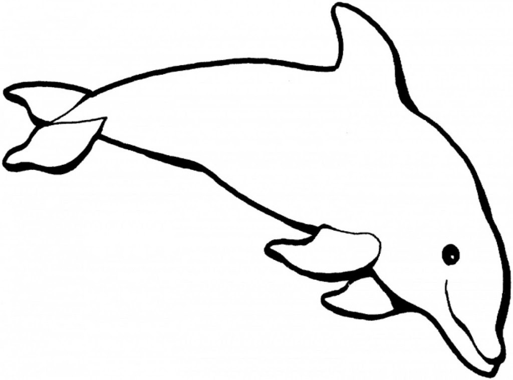  470 Cute Dolphin Coloring Pages Printable  Latest Free