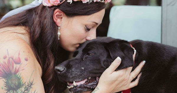 Sad,dogs,labrador,photography,wedding,sweet,tears