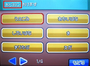 ポケモン サファリゾーン 雪に白鷺 日記淡々