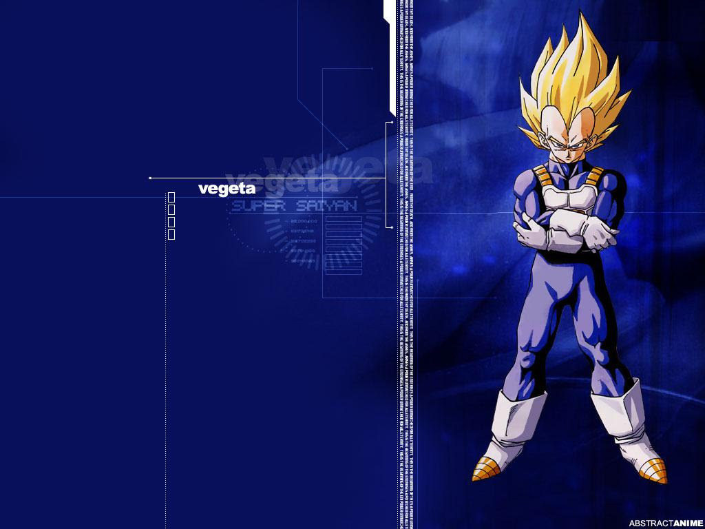 ドラゴンボール ベジータ 孔明妻の壁紙紹介