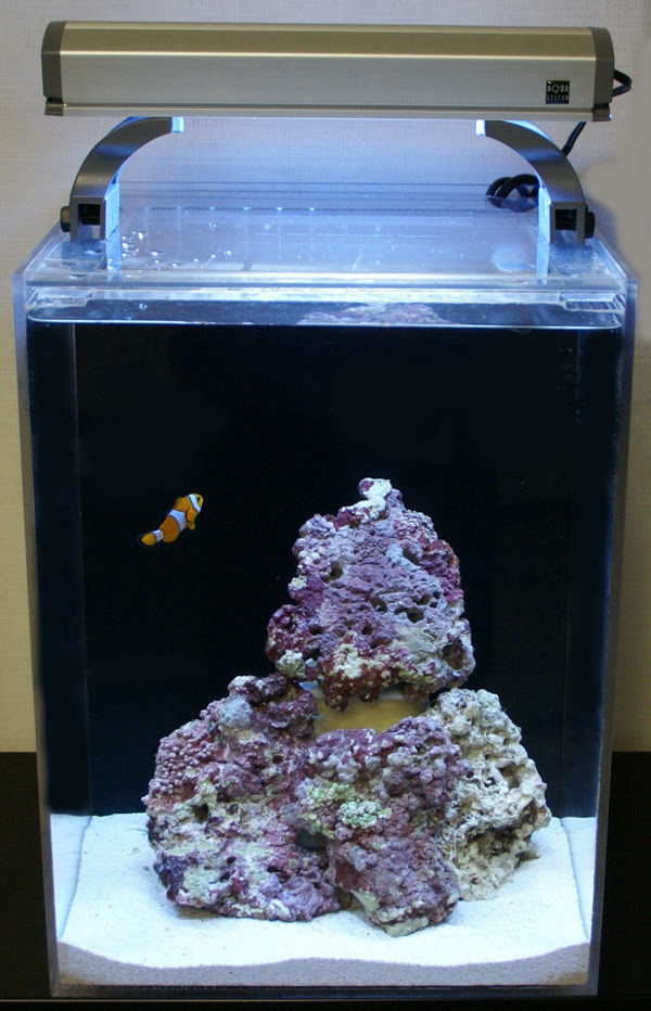 ニモが飼いたい 海水魚入門飼育セット ニモハウス 激安通販 ルパシカ
