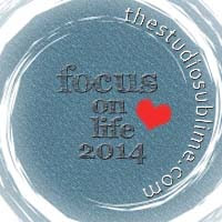 Focus on Life 2014