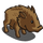 Javelina