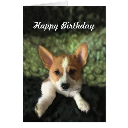 Corgi Puppy Happy Birthday Card