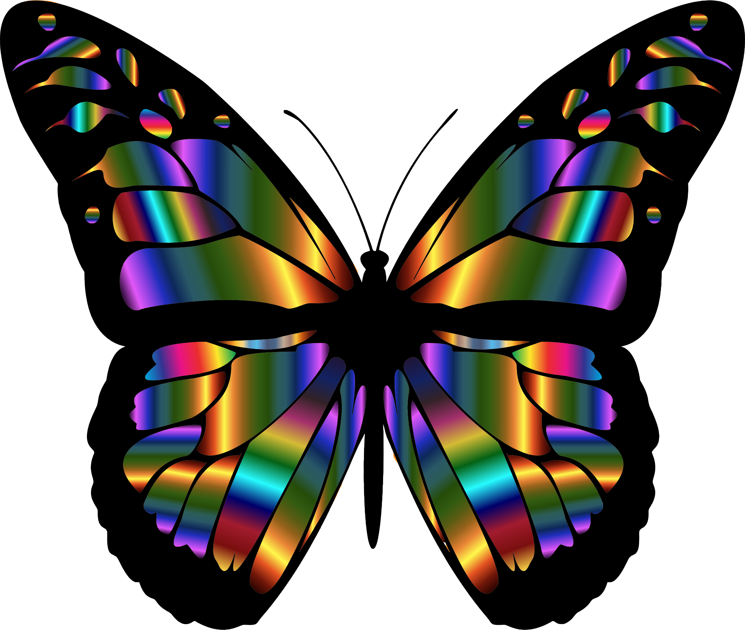 Png Butterfly - ClipArt Best
