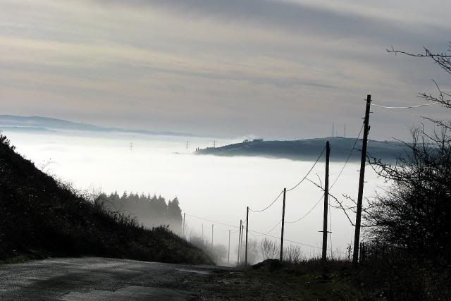  photo fog006.jpg