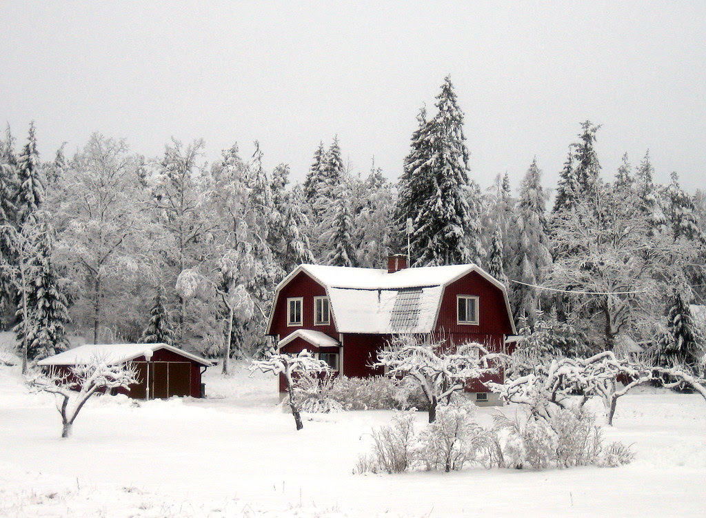 Winter Landscape