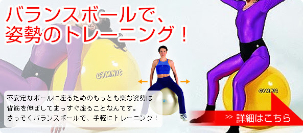 バランスボール エクササイズボール 販売 ボールトレーニング Com