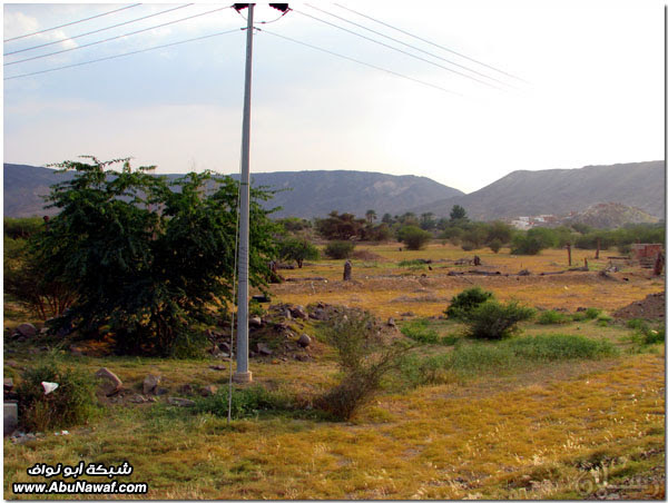 صور: رحلة عبر الكامل وخليص ( شمنصير، المرواني، عين ضرعاء وأعمدة البازلت، غار زبيدة) صور: رحلة عبر الكامل وخليص ( شمنصير، المرواني، عين ضرعاء وأعمدة البازلت، غار زبيدة)