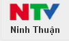 ntv