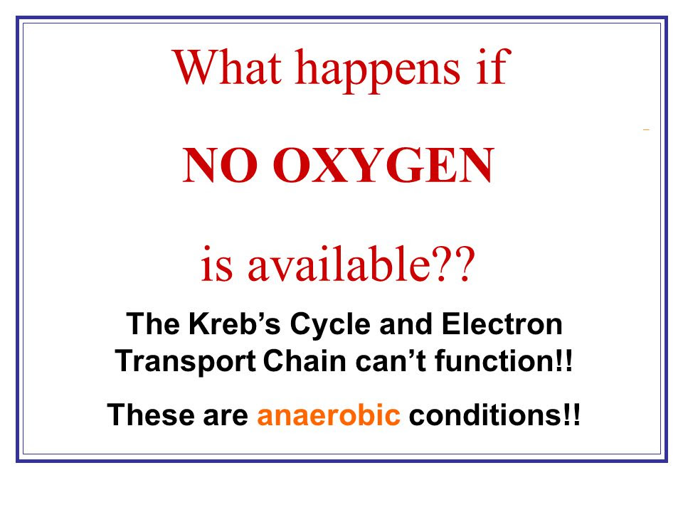 proteins the cell of are how flowchart made in Glycolysis Krebs ETC. Cycle  8 ppt Chapter  Respiration Cellular