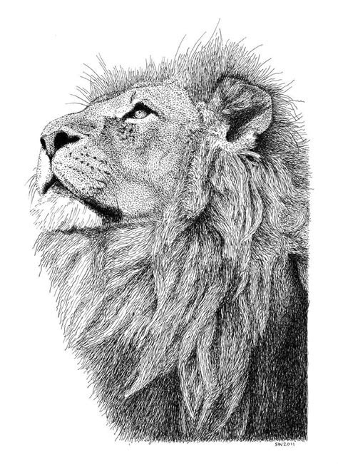 ink drawing drawinglandscape animal lion art