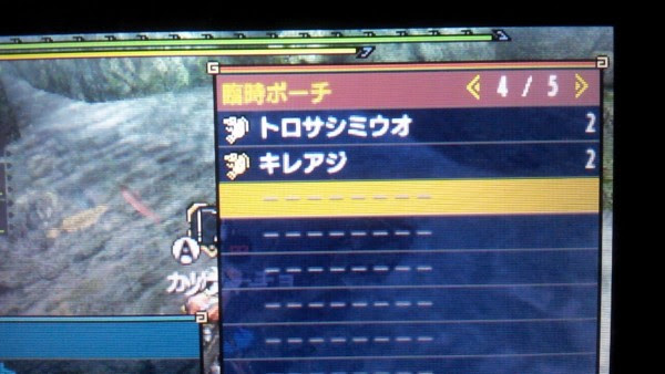 モンハンクロス トロサシミウオ 黄金魚の場所と釣るコツ パーフェクト自由人のブログ