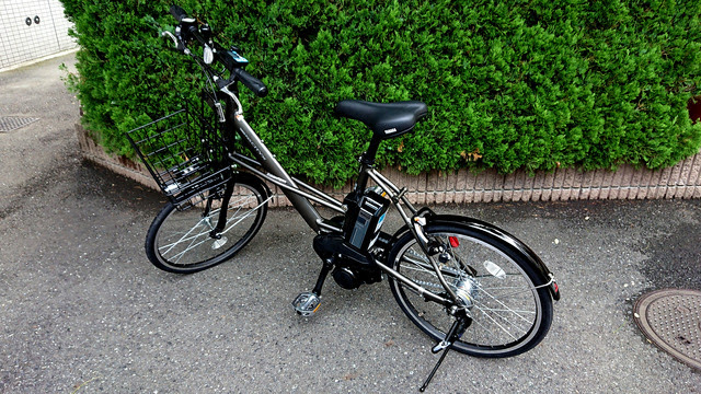 雑 Pas City X Pacx 購入 チミンモラスイ