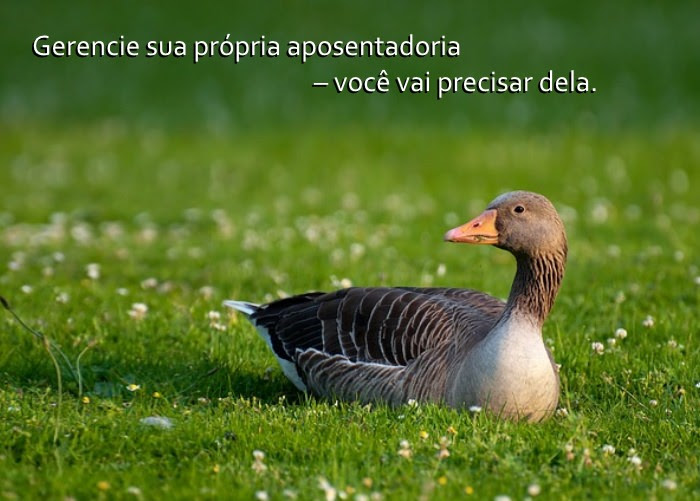 Os Segredos da Idade