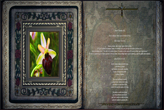 Lectura Libro de Génesis 49,2.8-10. Obra Padre Cotallo