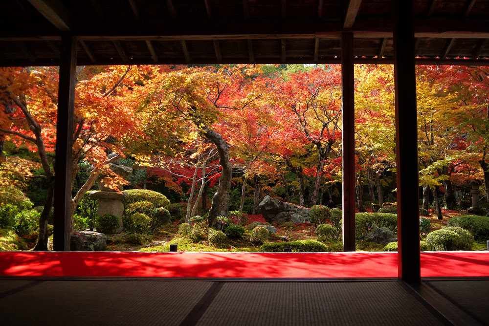 京都の紅葉 一覧 京都フリー写真素材集 京都の神社 寺院 観光地 世界遺産写真が無料