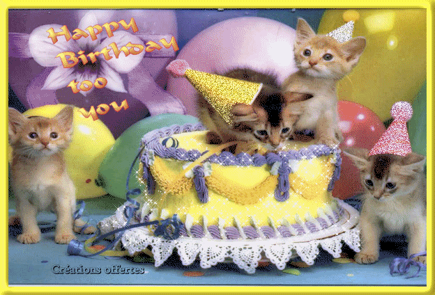 Bonne Anniversaire Karim