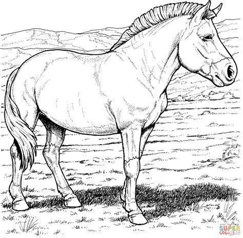 Select from 72013 printable coloring pages of cartoons, animals, nature, bible and many more. free horse coloring pages for download