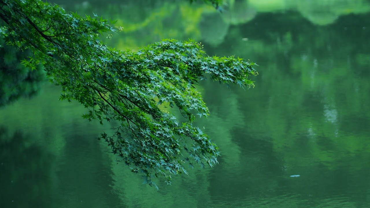 アーカイブ 14年08月07日 Mellow Tempo めろうてんぽ