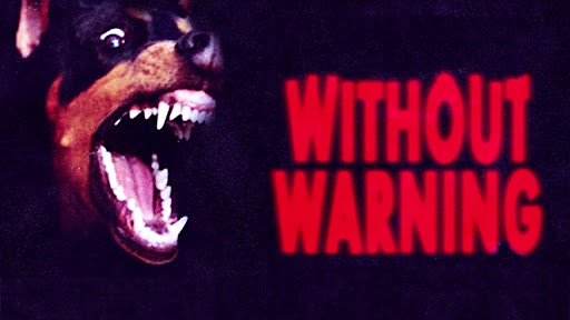 30+ Ric Flair Drip Album PNG