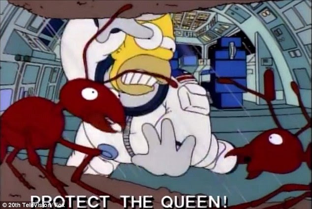 These might not be the most famous ants in space you remember: Homer, in the 15th episode of the fifth season of The Simpsons (Deep Space Homer) accidentally crashes in to an ant colony while in space (shown)