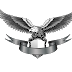 Download Img Png / On freepngimg.com you can download free png images, pictures, icons in different sizes.