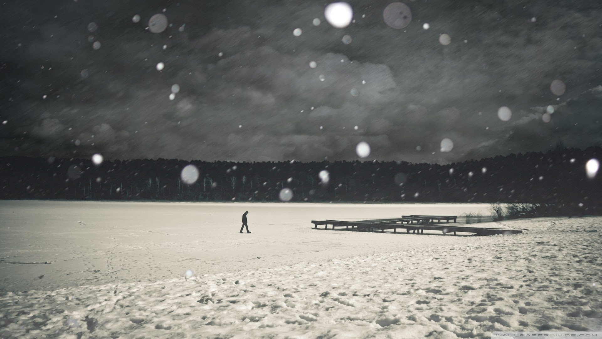 Lonely Winter 4K HD Desktop Wallpaper For 4K Ultra HD TV Tablet