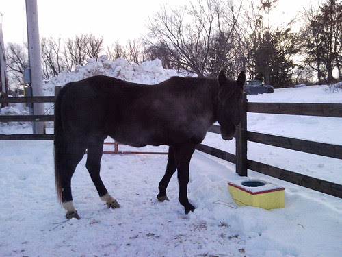 Still in a good mood but not any better.